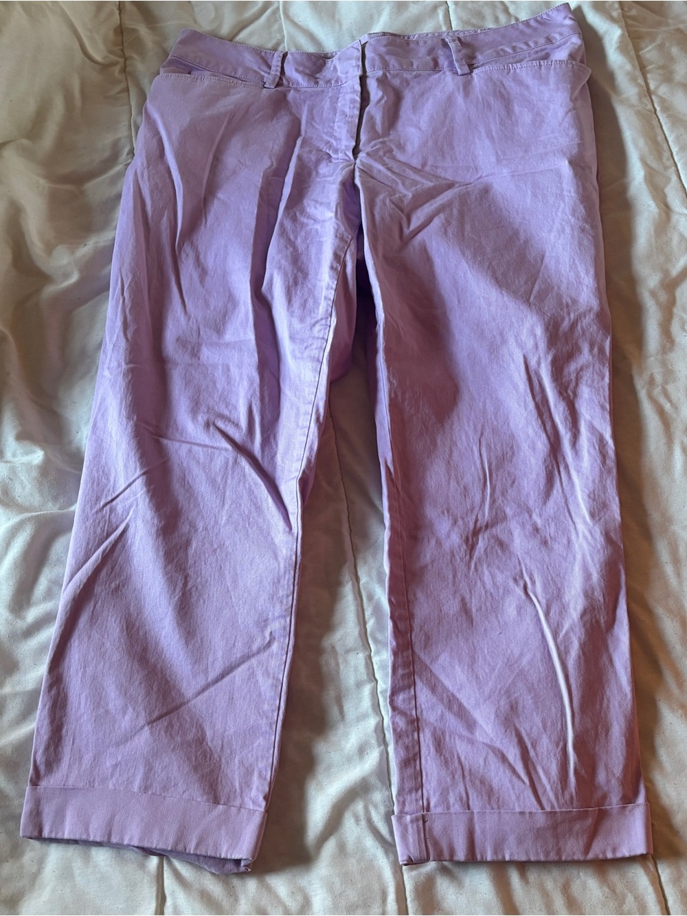 Land’s end purple pants